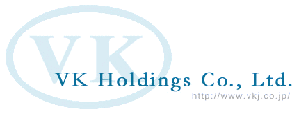 VK Holdings 